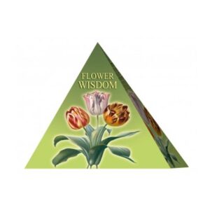 804-0189 ΚΑΡΤΕΣ ΜΑΝΤΕΙΑΣ ORACLE FLOWER WISDOM LO SCARABEO