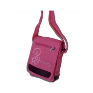 912-0286 ΤΣΑΝΤΑ ΧΙΑΣΤΙ CANVAS TWEETY Looney Tunes